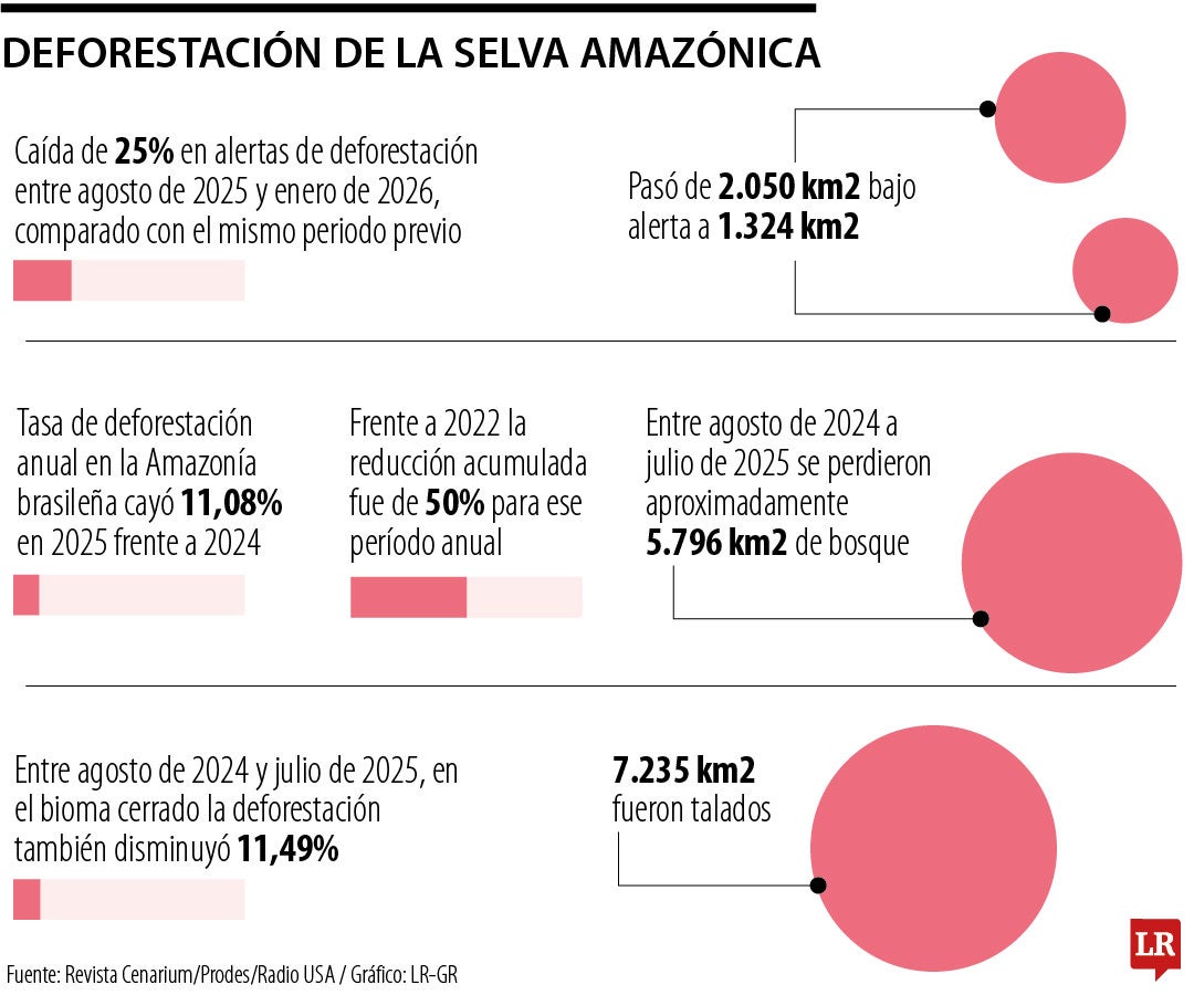 Alertas de deforestación en la Amazonía brasileña cayeron 35% para enero de 2026