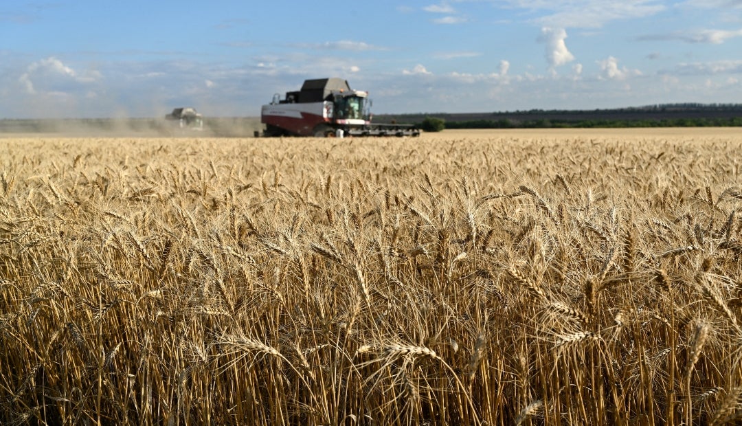 Cosecha de trigo en la región rusa de Rostov