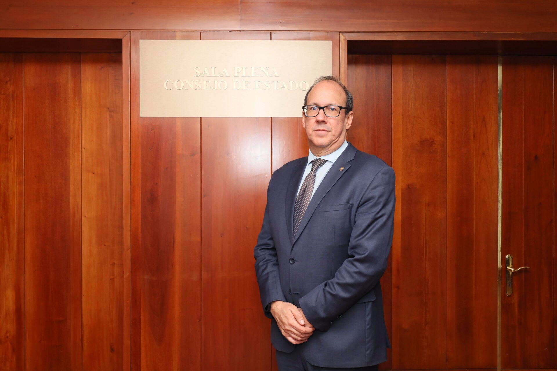 Alberto Montaña Plata, Consejo de Estado