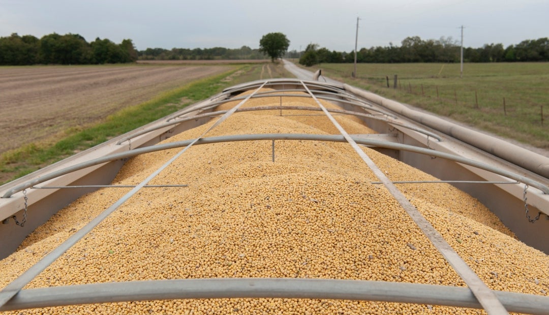 Cosecha de soja