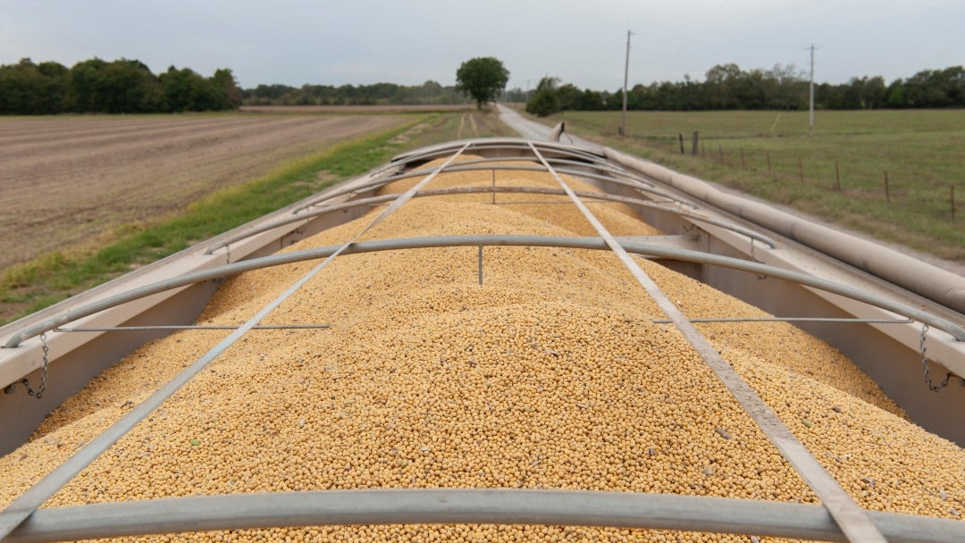 Cosecha de soja