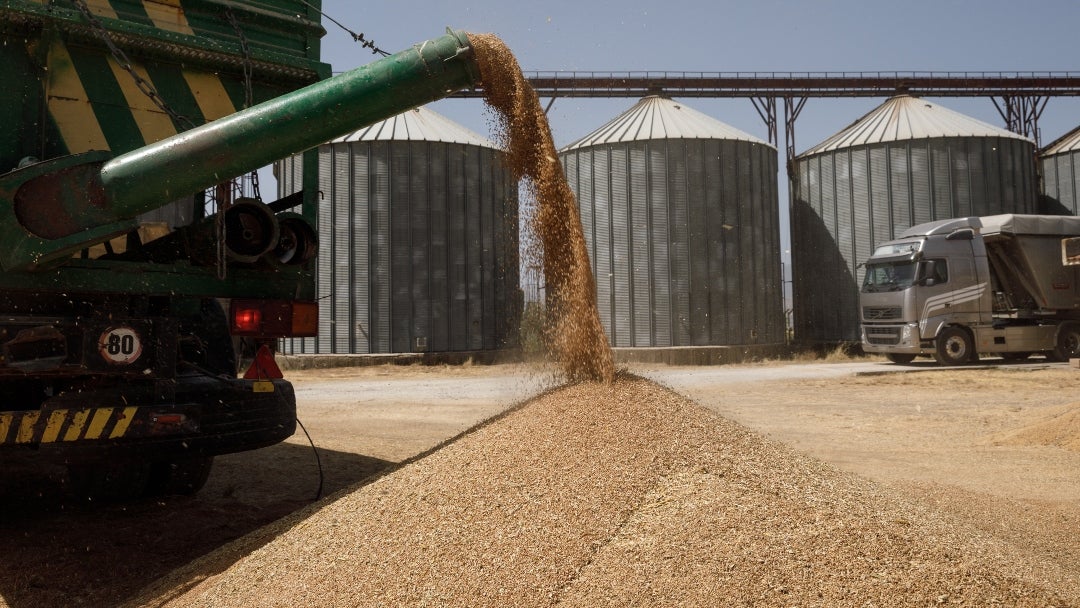 Cosecha de trigo en Grecia