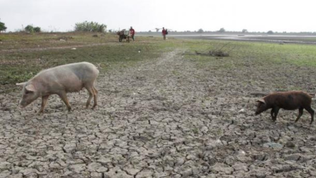 Sequías por Fenómeno de El Niño