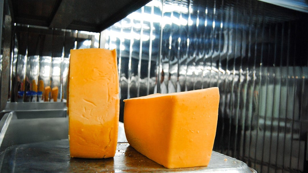 Quesito y queso campesino elaborados por empresas de distintas regiones del país