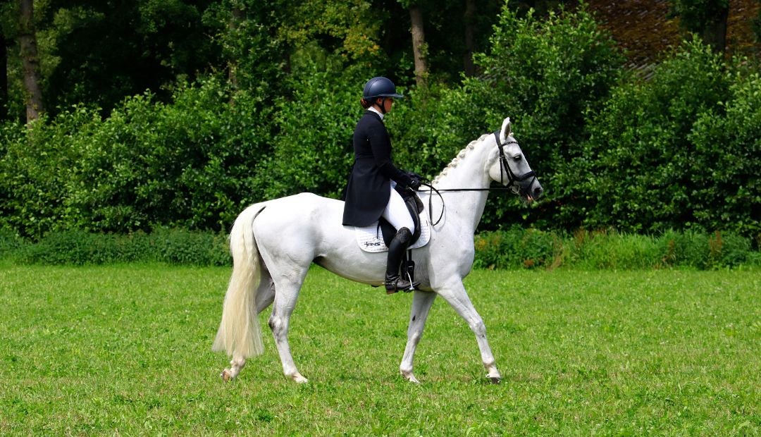 La yegua de pura sangre tenía cuatro años y había competido de forma profesional desde 2024.