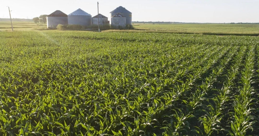 Trump inyectará US$12.000 millones en el sector agrícola y lanzará su web 'OnlyFarms'