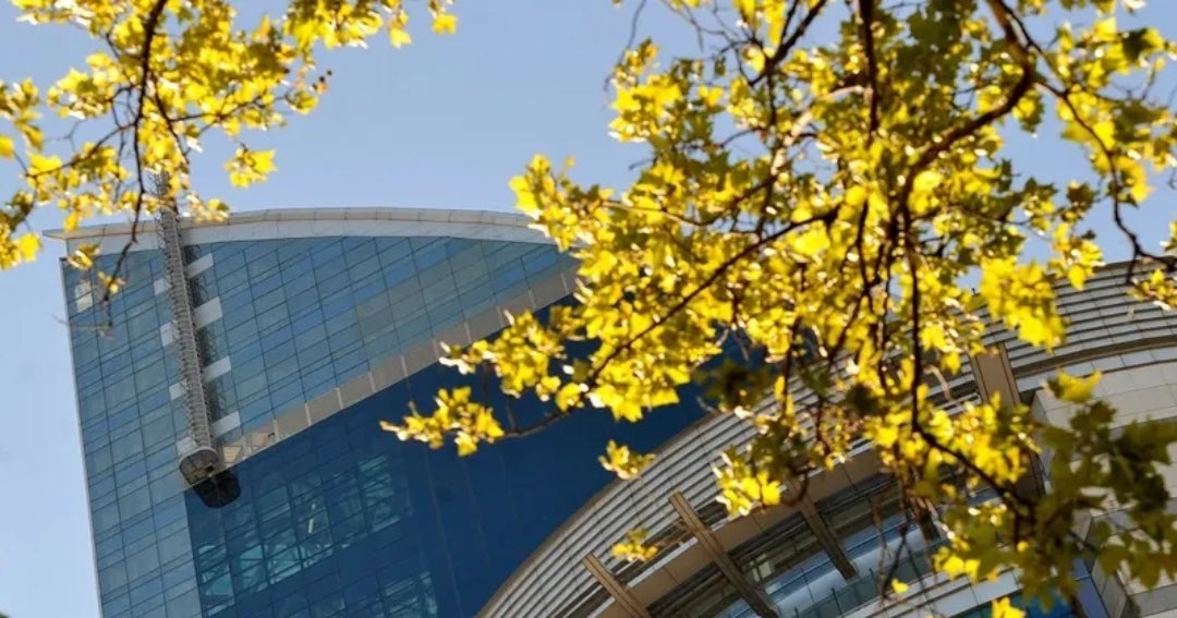 Antel registró utilidades por US$249 millones y aportó ganancias a la caja del Estado