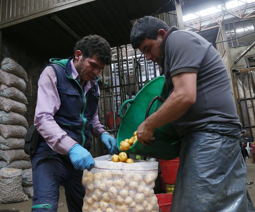 Comercio de papa en Corabastos