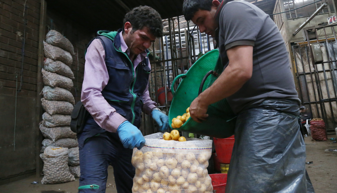 Comercio de papa en Corabastos