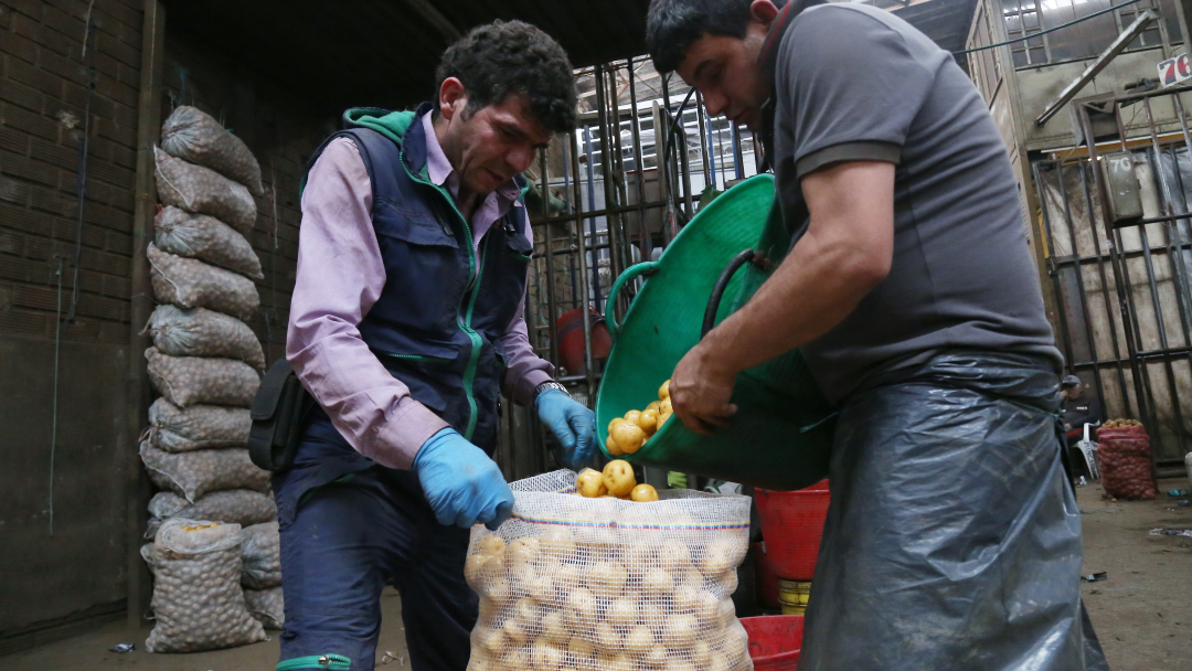 Comercio de papa en Corabastos