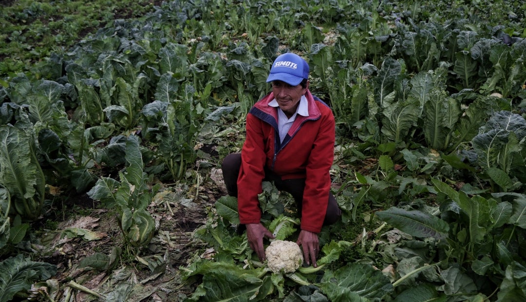 Campesinos de los sectores rurales de Colombia