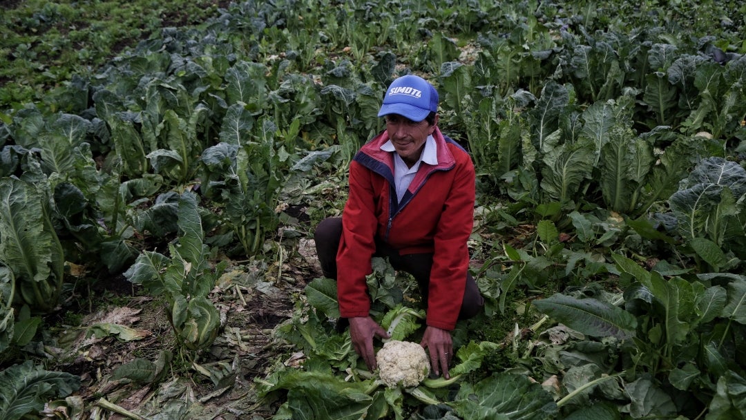 Campesinos de los sectores rurales de Colombia