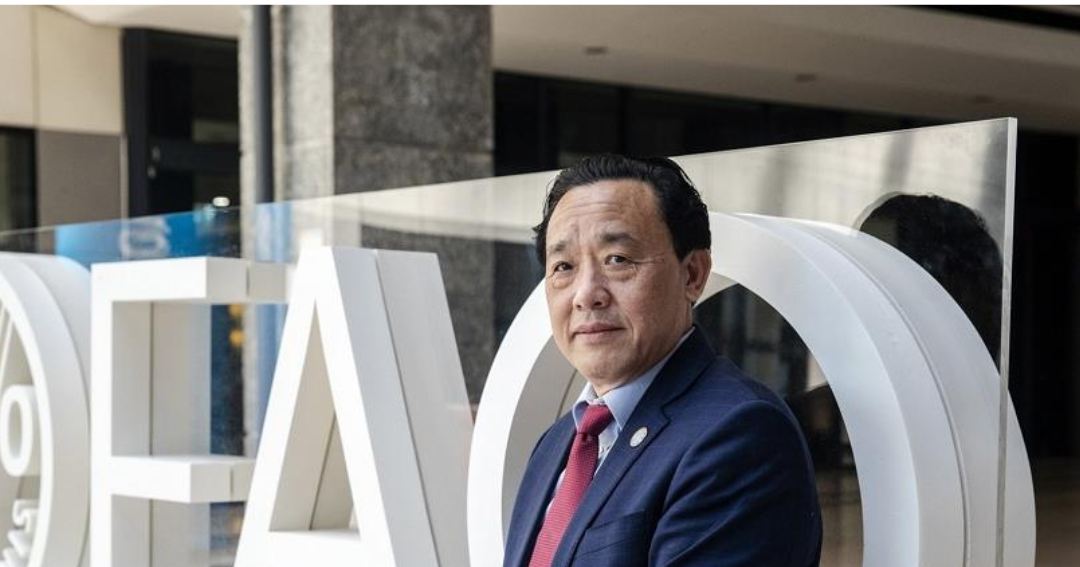 FAO prevé que alza de precios mundiales de alimentos siga si guerra en Irán se prolonga