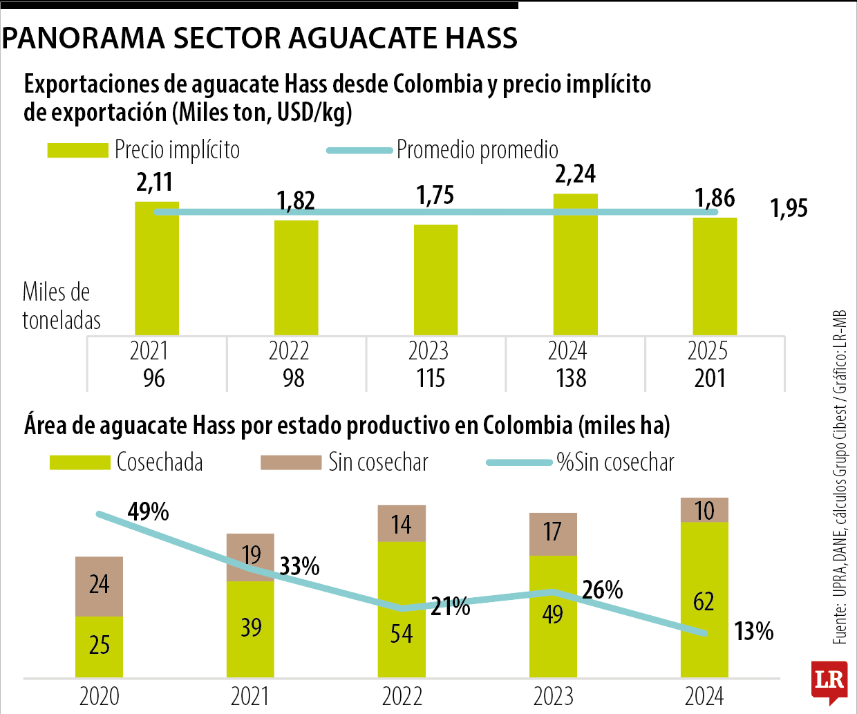 Panorama del sector de aguacate hass