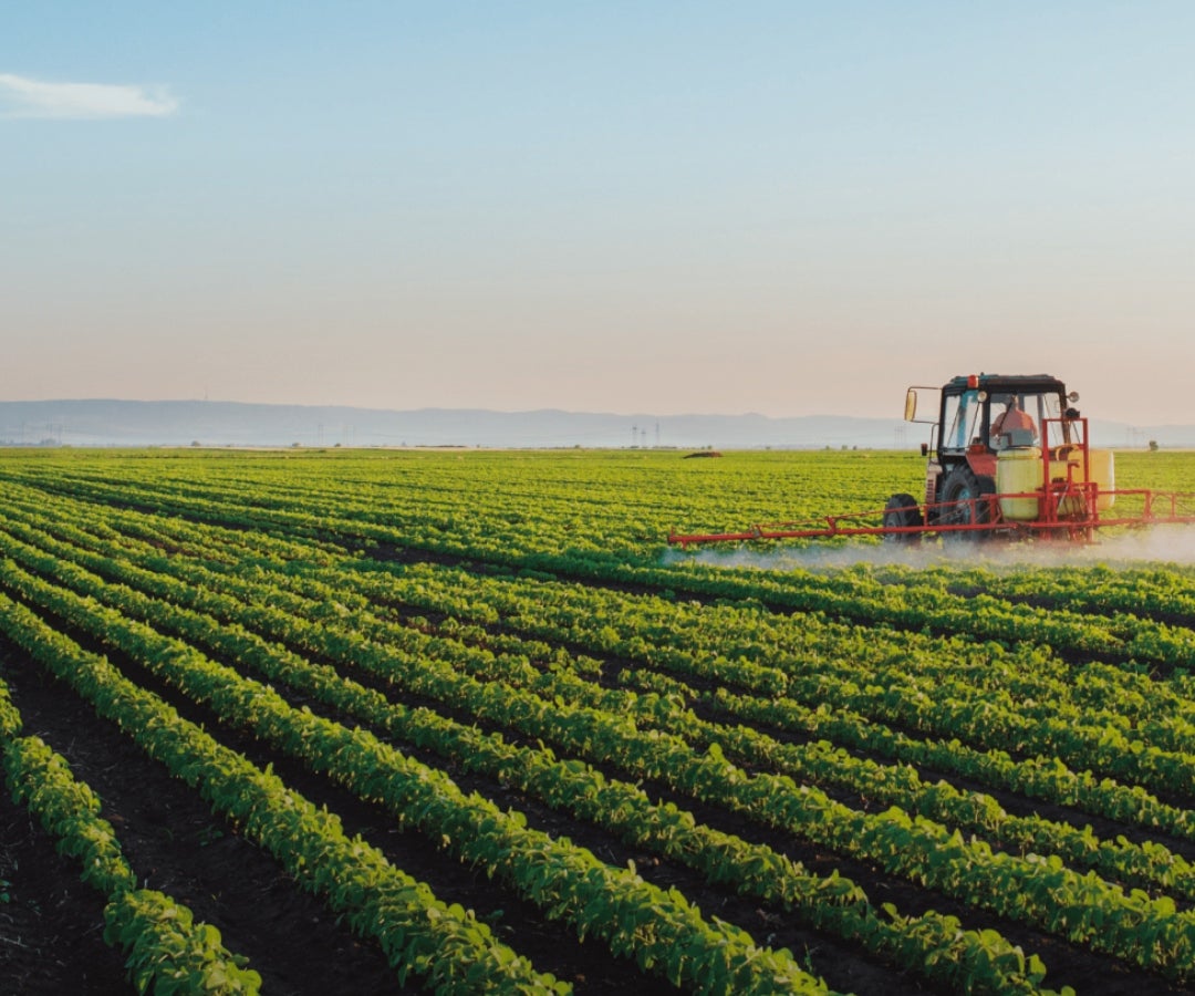 Agroser frenó el registro de la marca Agroger en la SIC