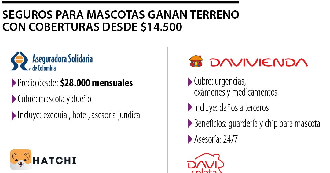 Puede conseguir pólizas para mascotas para viajes que van desde $14.500 mensuales