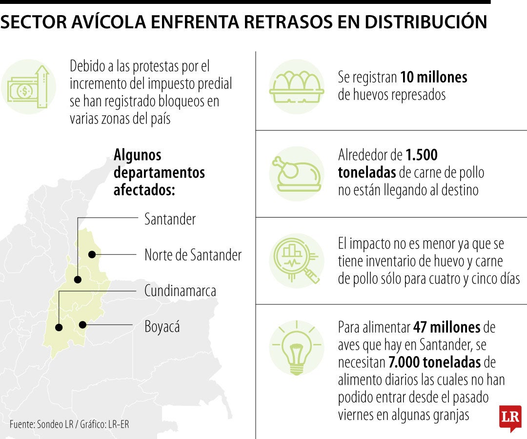 Con 10 millones de huevos represados, el sector avícola enfrenta retrasos en distribución