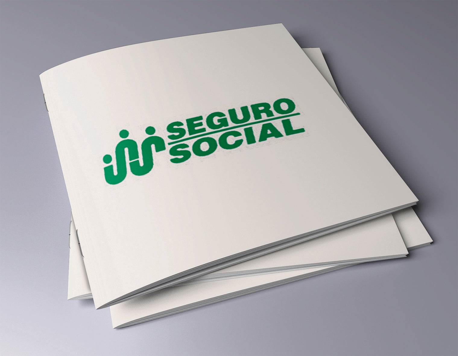 Seguro Social