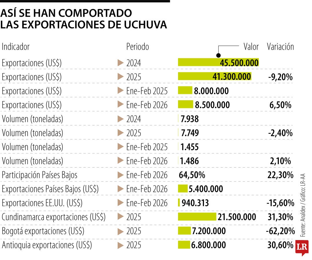 Así se han comportado las exportaciones de uchuva