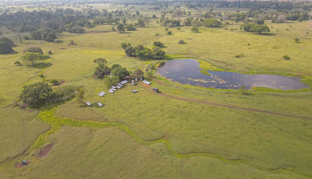 Hectáreas de tierra recuperadas por la ANT