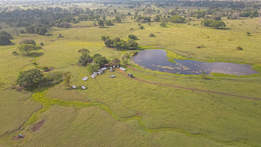 Hectáreas de tierra recuperadas por la ANT