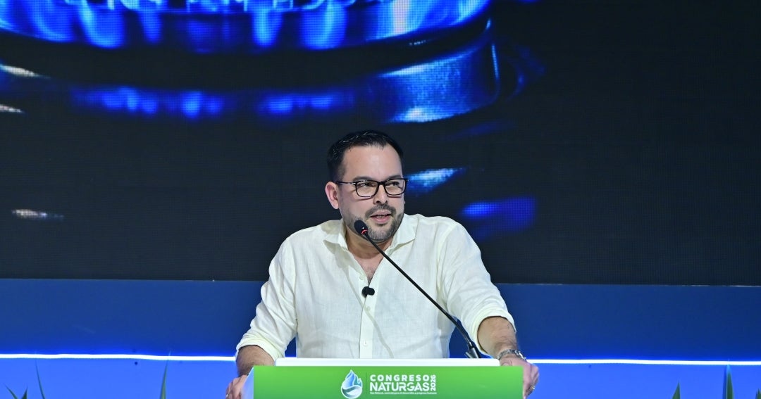 Palma defiende apoyo al sector privado en desarrollo de nuevos proyectos energéticos