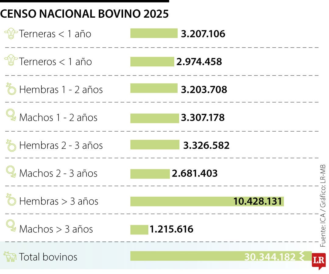 Censo Nacional Bovino 2025