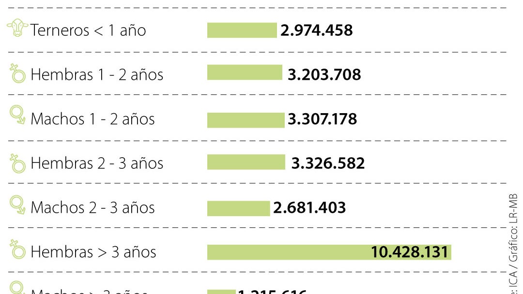 Censo Nacional Bovino 2025