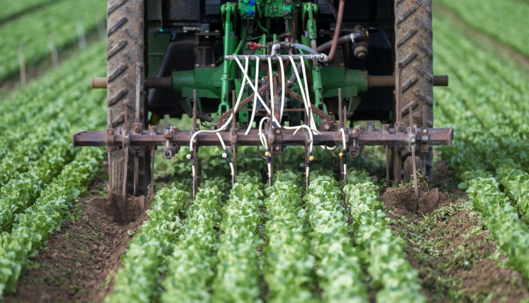 Fertiglobe advierte que precios de los fertilizantes seguirán subiendo