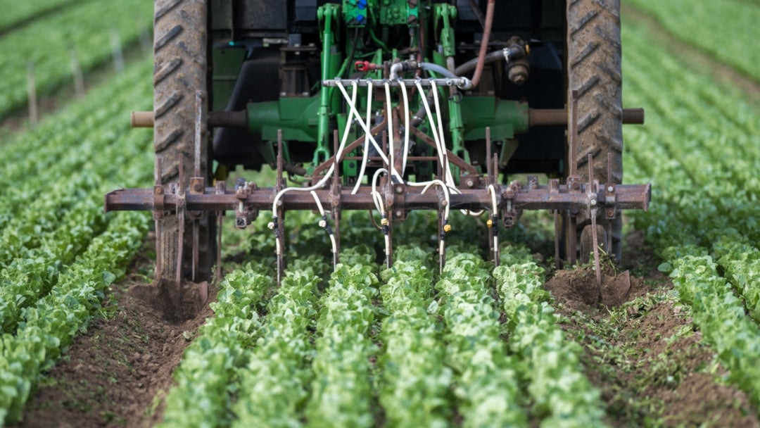 Fertiglobe advierte que precios de los fertilizantes seguirán subiendo