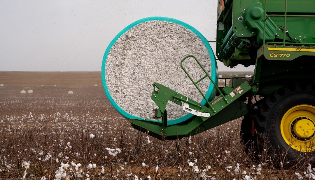 Futuros del algodón se disparán por la guerra en Irán