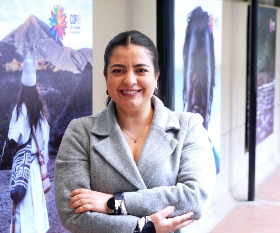 Ghisliane Echeverry, directora del Ideam