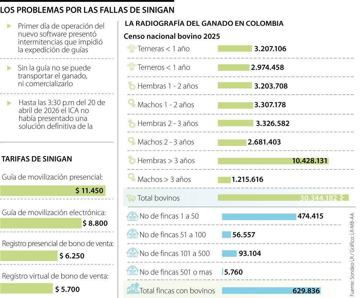 Sinigan afectó movilidad de 2.000 cabezas de ganado