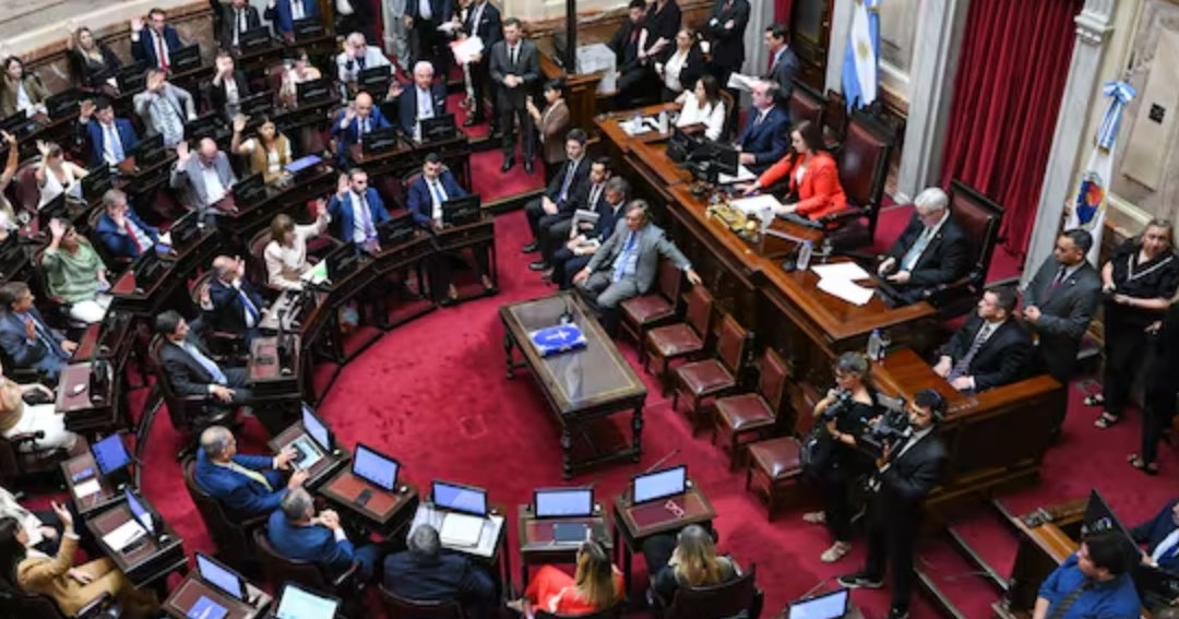 Senado de Argentina acelera plan para ordenar la seguridad y regular uso de armas