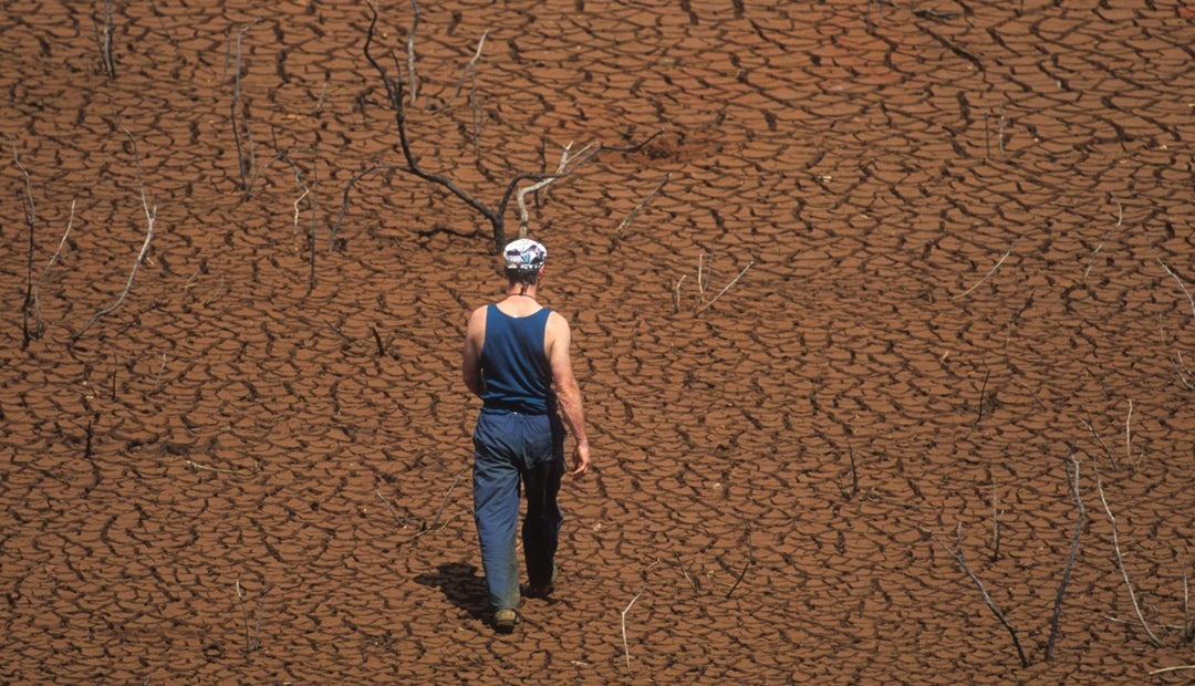 Calor extremo tiene en riesgo la seguridad alimentaria según la FAO
