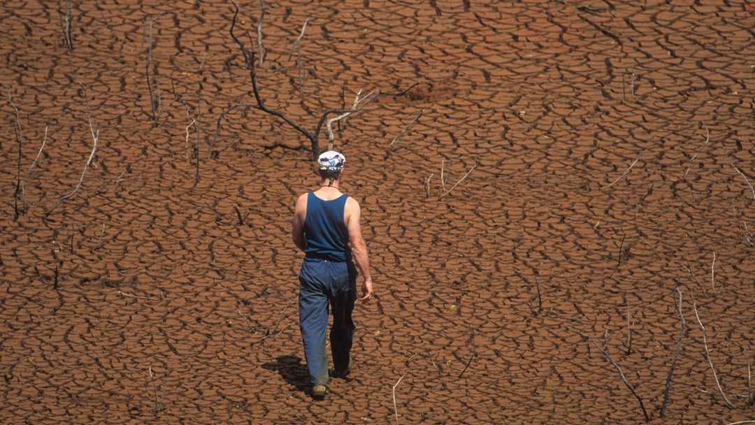 Calor extremo tiene en riesgo la seguridad alimentaria según la FAO