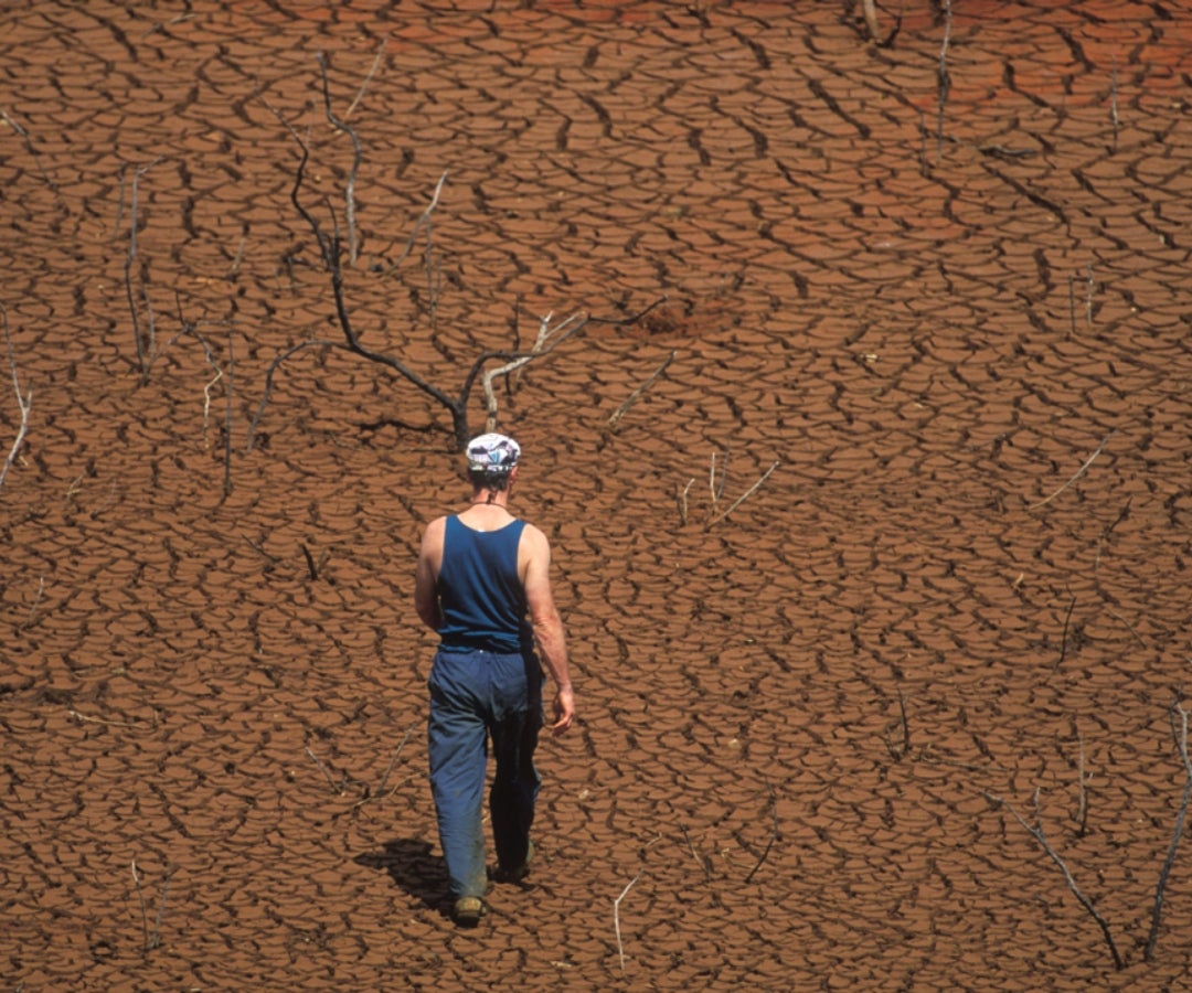 Calor extremo tiene en riesgo la seguridad alimentaria según la FAO