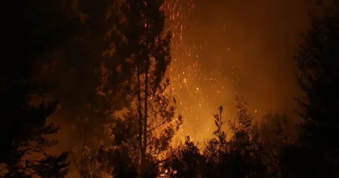 Declaran alerta temprana ante amezana de incendios en la región de Valparaíso