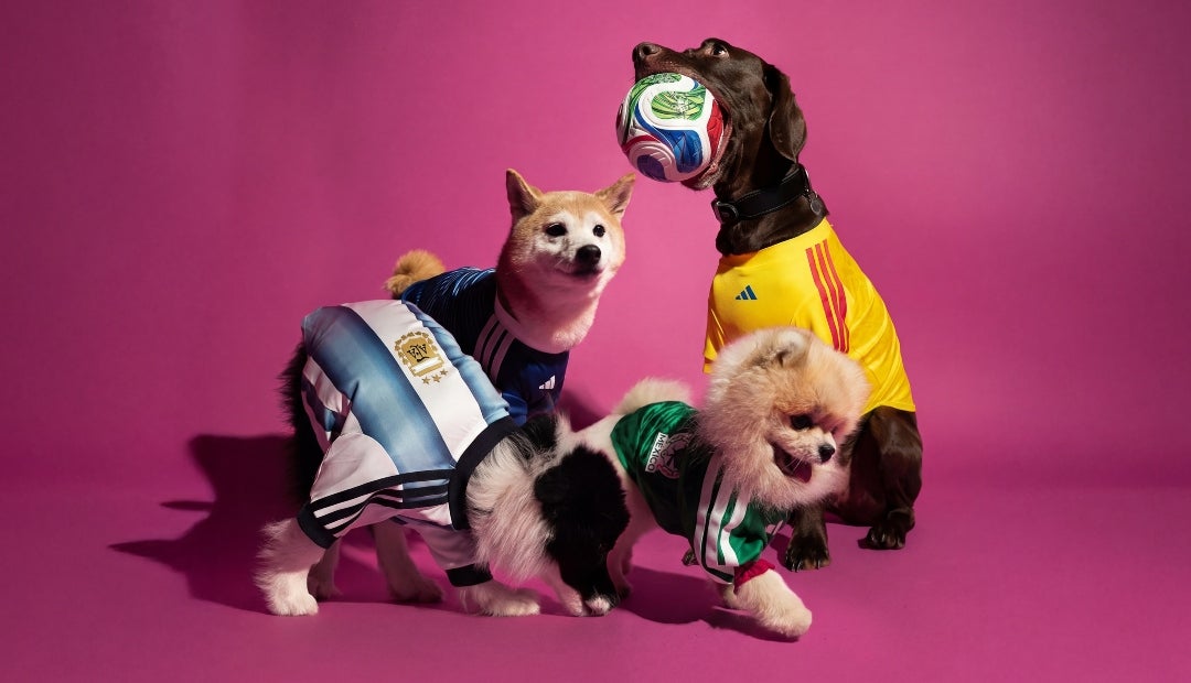 Adidas lanza colección de camisetas del Mundial 2026 para mascotas