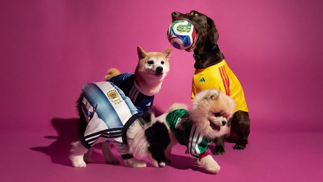 Adidas lanza colección de camisetas del Mundial 2026 para mascotas