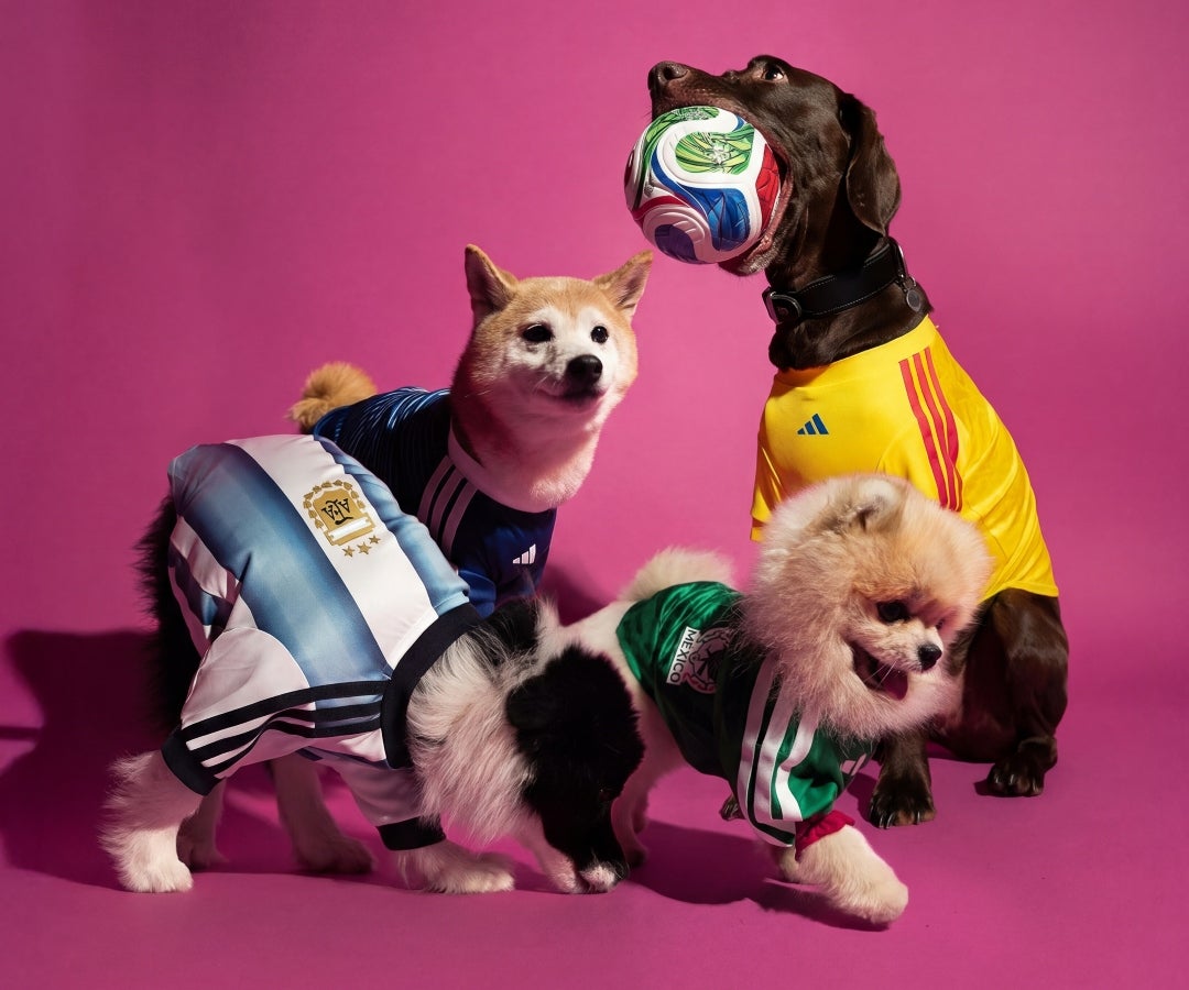Adidas lanza colección de camisetas del Mundial 2026 para mascotas