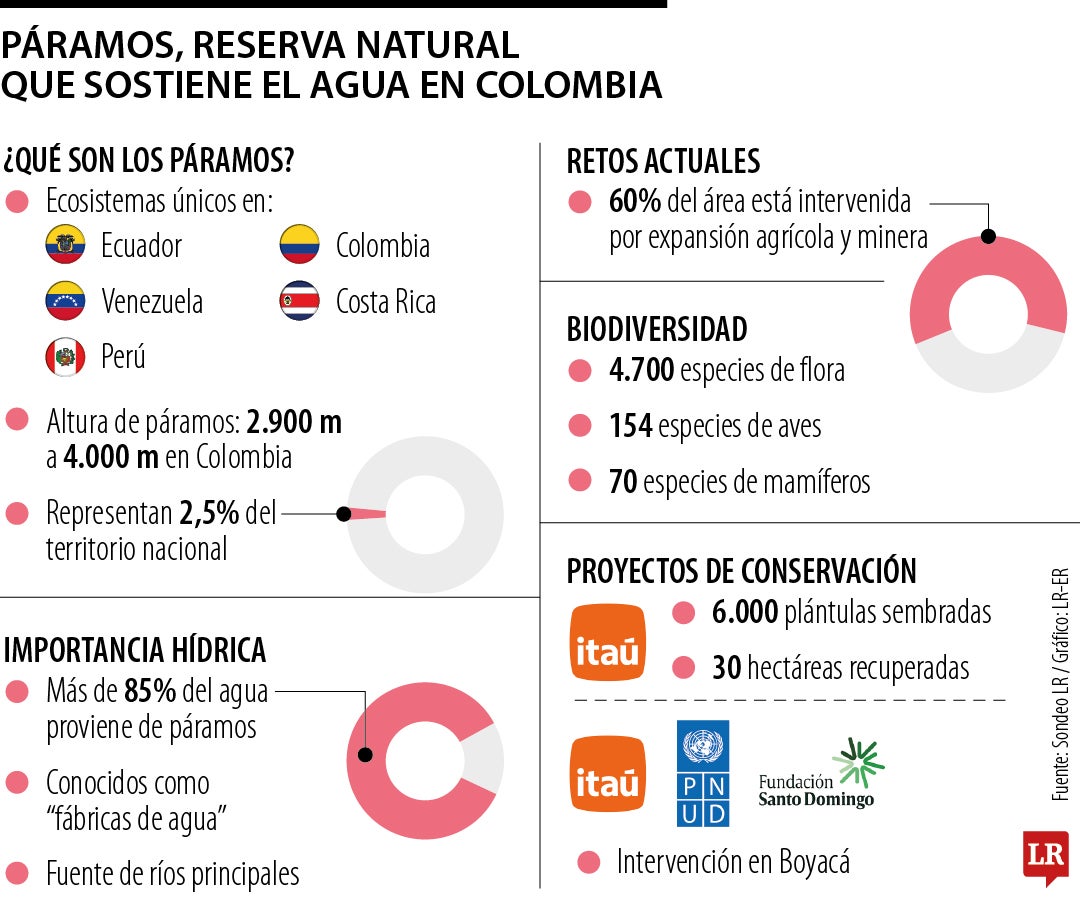 Banco Itaú, Pnud y Fundaciones Santo Domingo, las empresas que cuidan los páramos