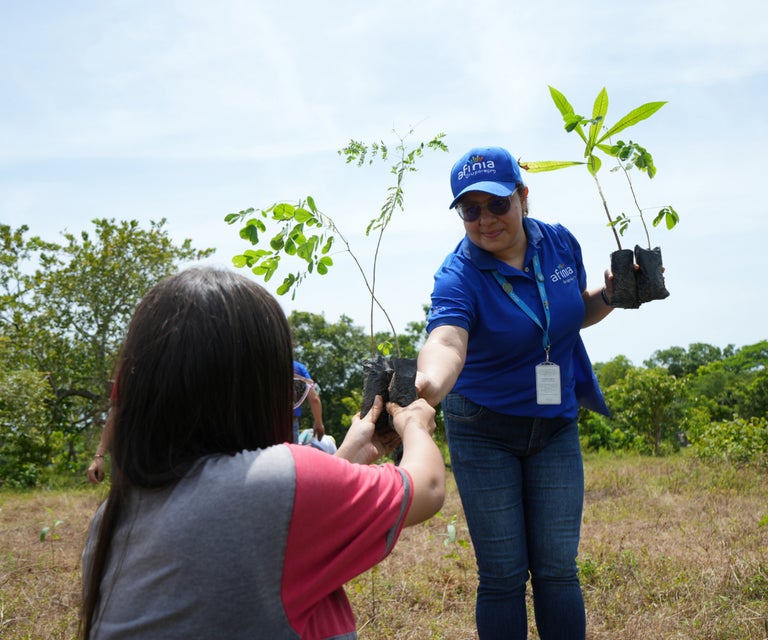 EPM invierte 3,2 billones de pesos en el Caribe y restaura 40 hectáreas de bosque en Santa Elena — image 4