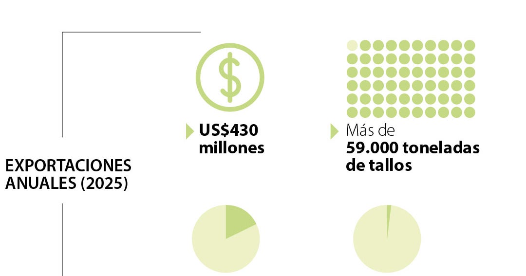 Día de las Madres impulsa exportaciones de flores a US$430M