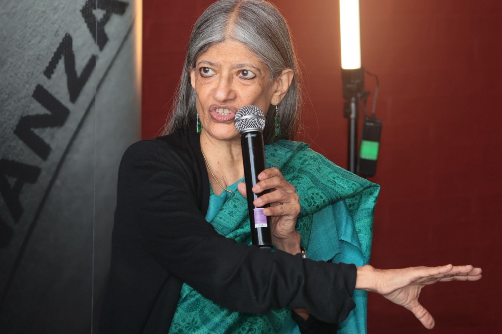 Jayati Ghosh, economista y profesora de la University of Massachusetts Amherst