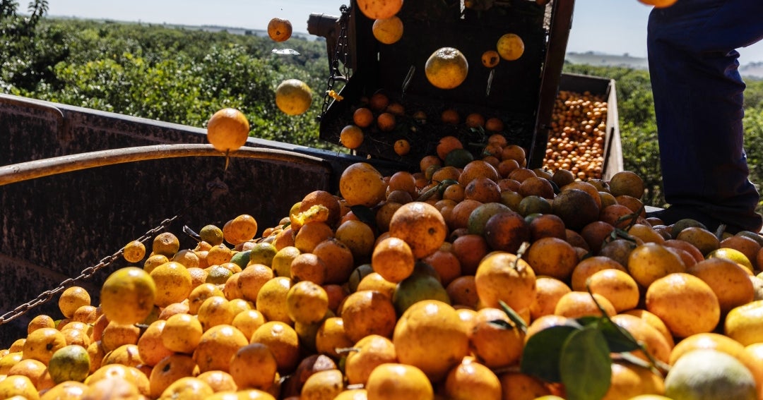 El zumo de naranja registra aumento debido a disminución de la cosecha en Brasil