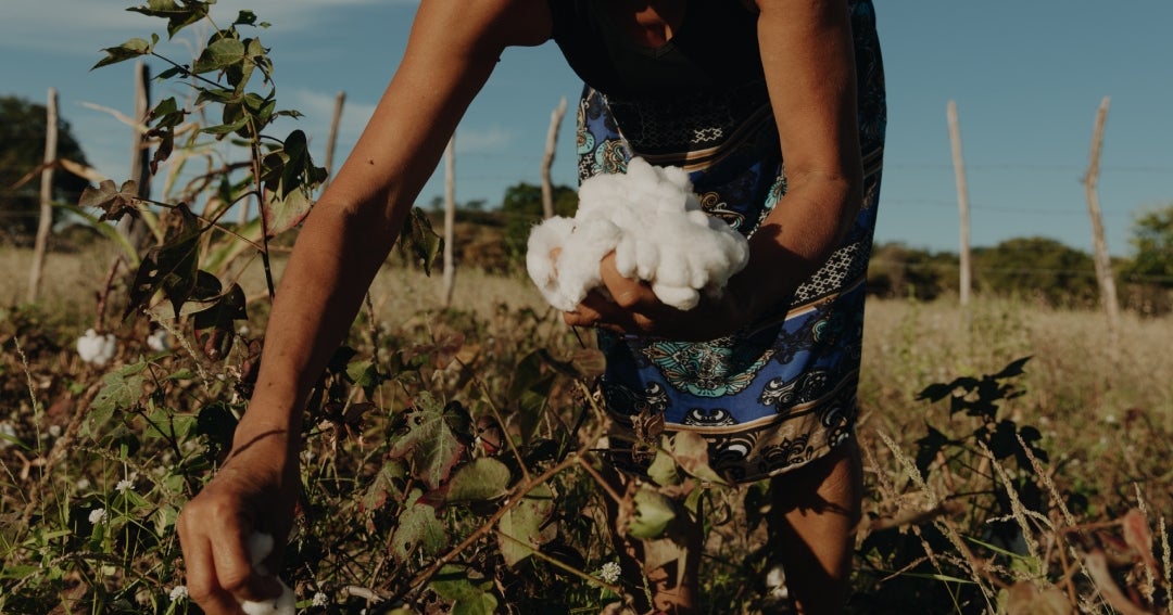 Veja estrena “Fuera de los reflectores”, un documental de las historias detrás de sus tenis