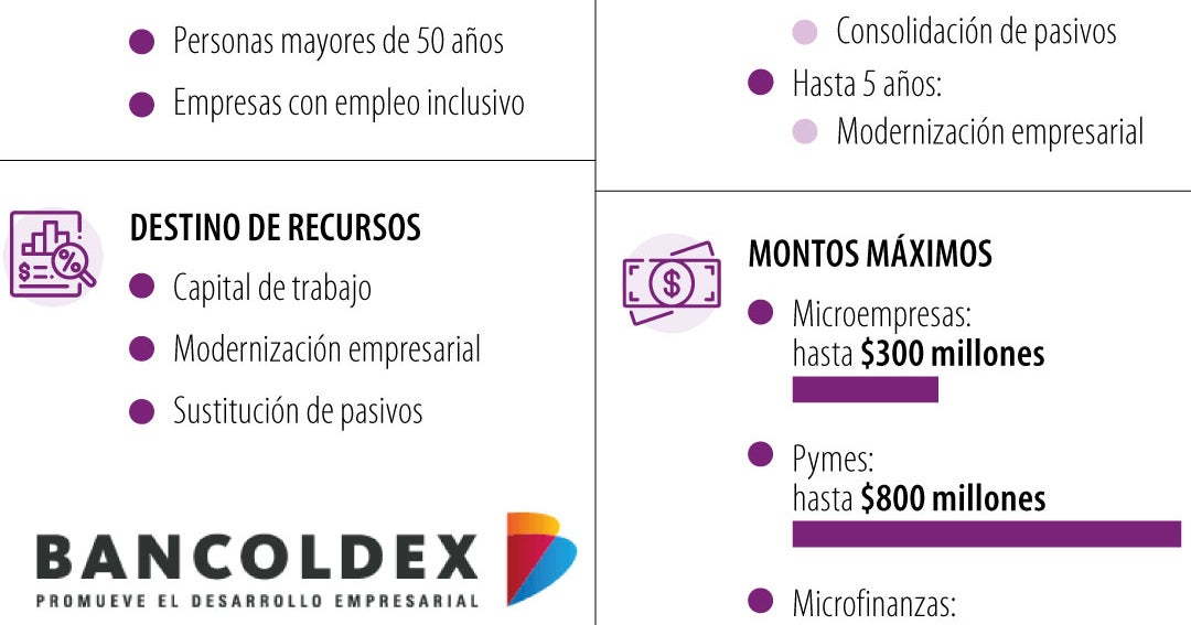 Bancóldex lanzó una línea de crédito por $100.000 millones para emprendedores