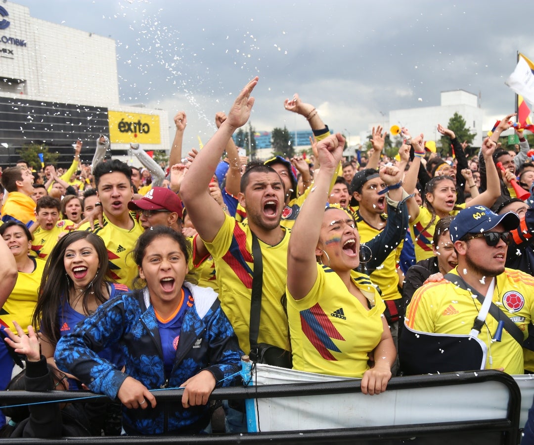 Hinchas Selección