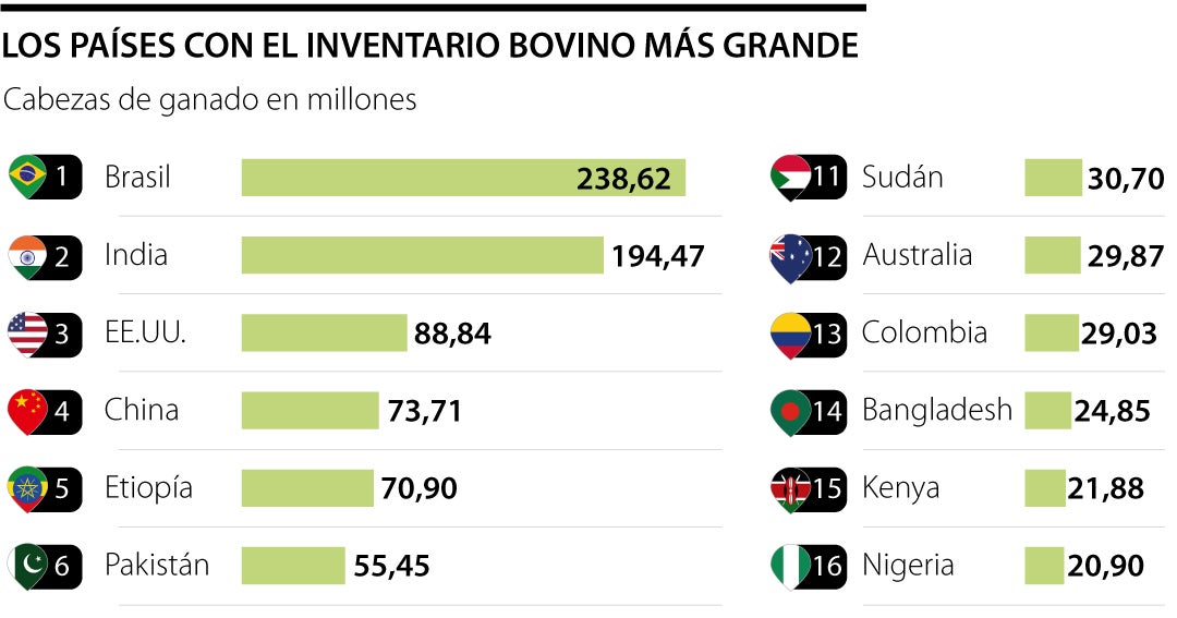 Colombia tiene 29 millones de bovinos: Día Nacional de la Carne